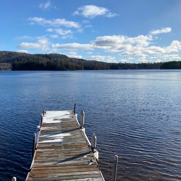 Meet your Posher, Alexi - Picture 1 of 1